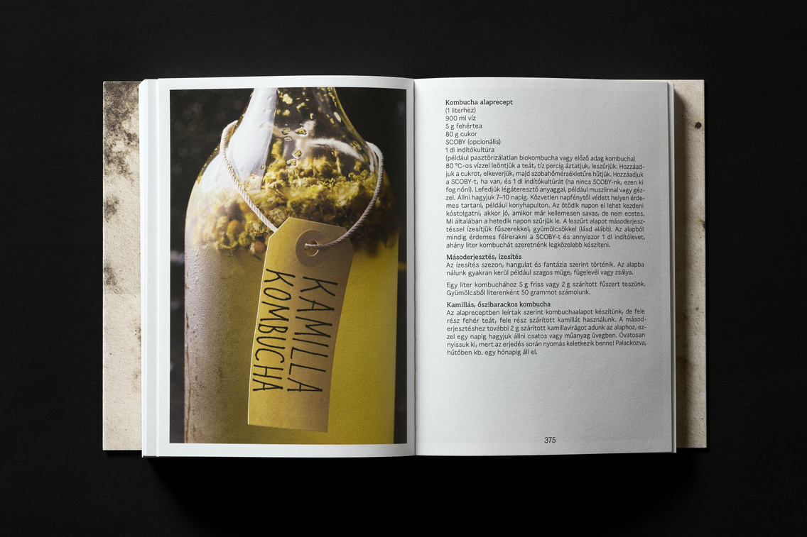 20260319 - SALT KÖNYV TÁRGYFOTÓ32886