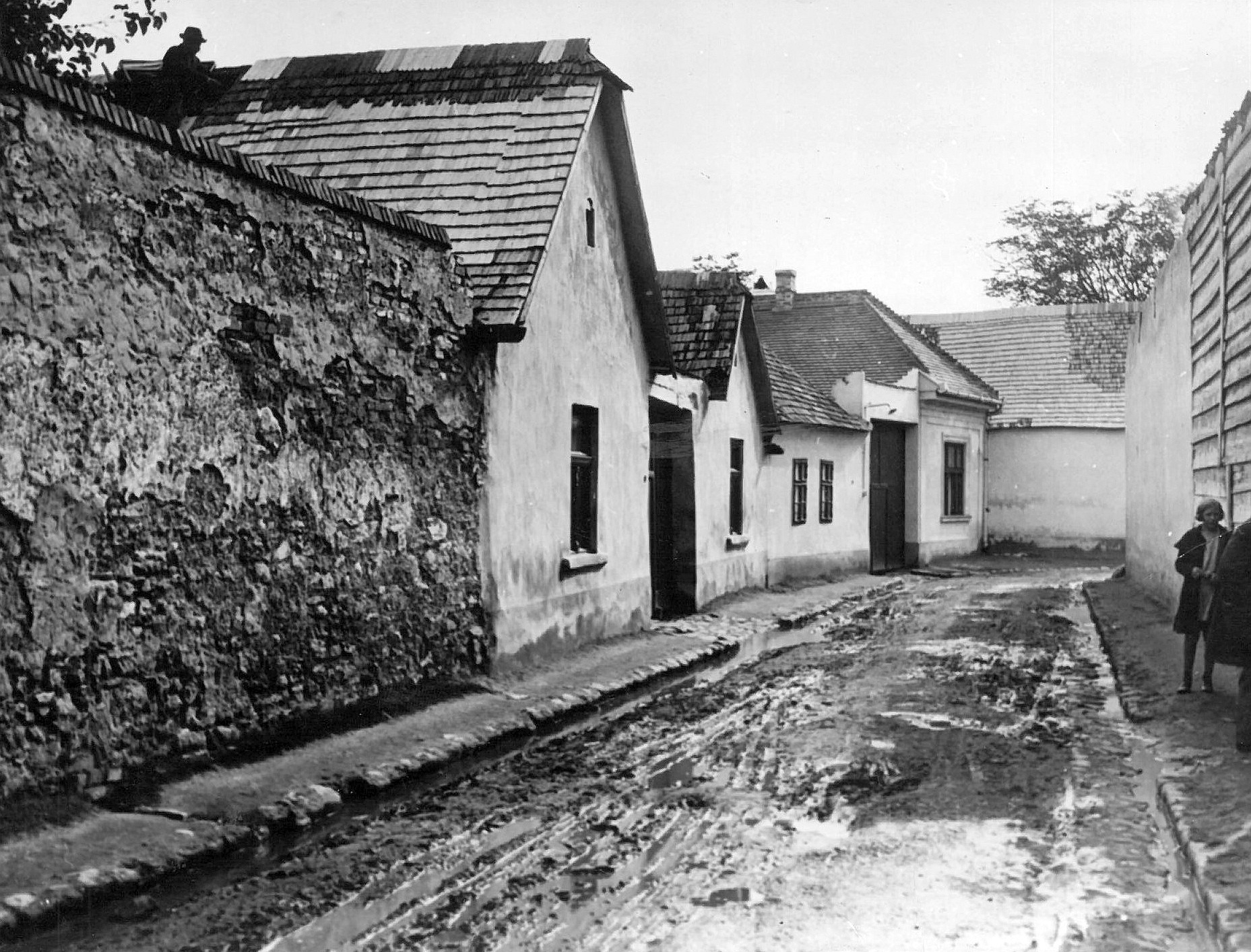 obuda gyuru utca fortepan pap zsigmond gyorgy