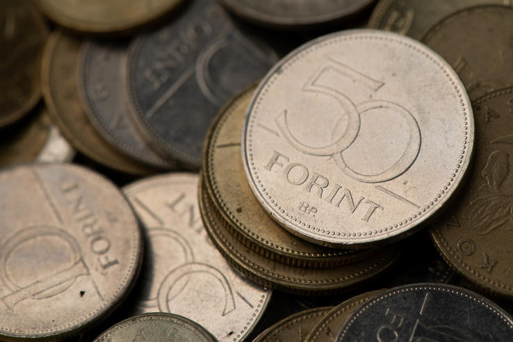 Nézzen a pénztárcájába: vagyonokat érhet ez a különleges 50 forintos érme