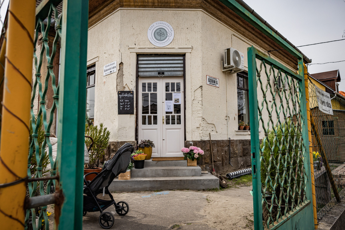 Édes Virágszálam 260325 Szabó Gábor 007