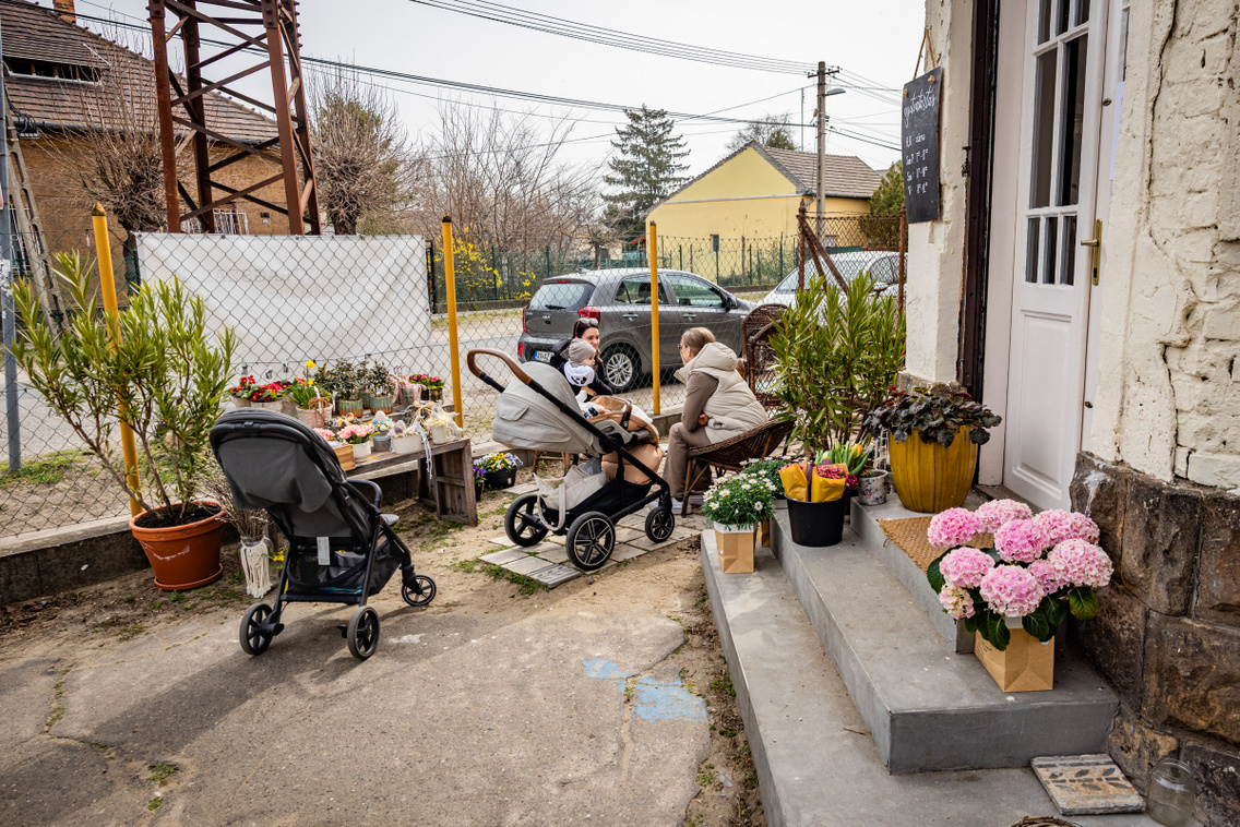 Édes Virágszálam 260325 Szabó Gábor 012