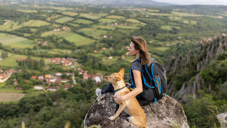 Nem is hinnéd, milyen rombolást végzel, ha nem szeded fel a kiránduláson a kutyakakit