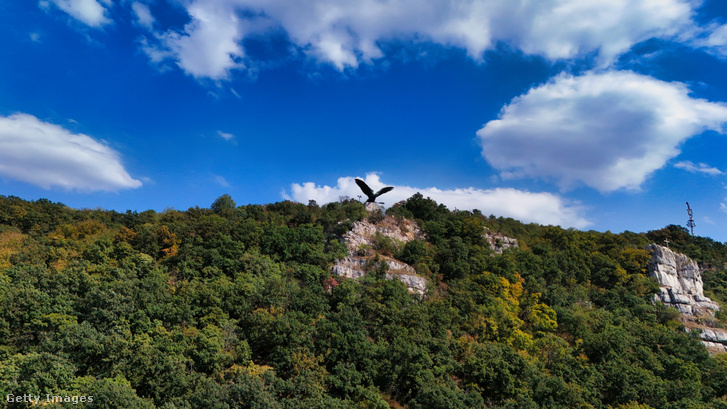 A tatabányai Turul-emlékmű