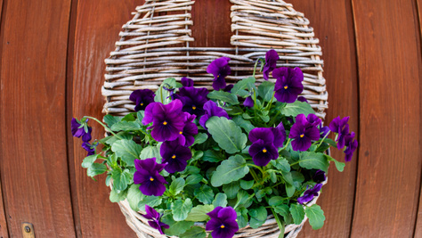 Ennél egyszerűbb ajtódíszt idén még nem láttunk: szép, és könnyű elkészíteni