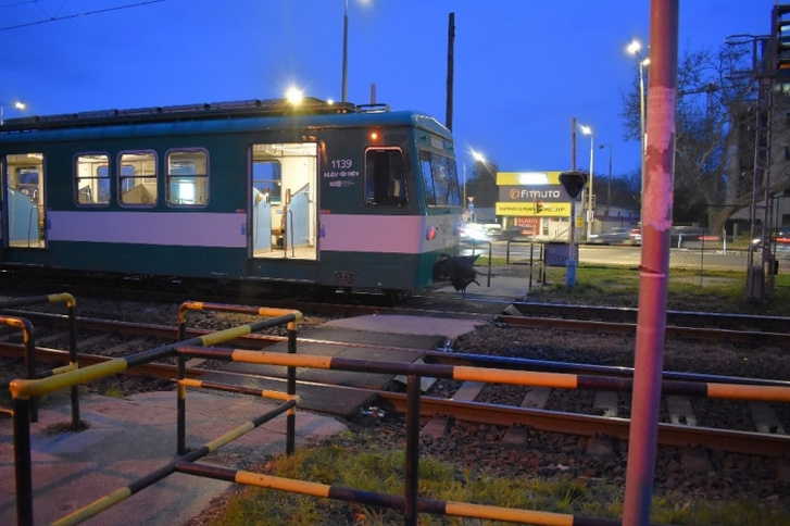 A H5-ös HÉV