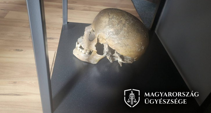 A V–VI. századi koponya