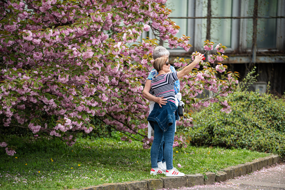 tavasz budai arborétum 044 Medgyesi Milán 20240406