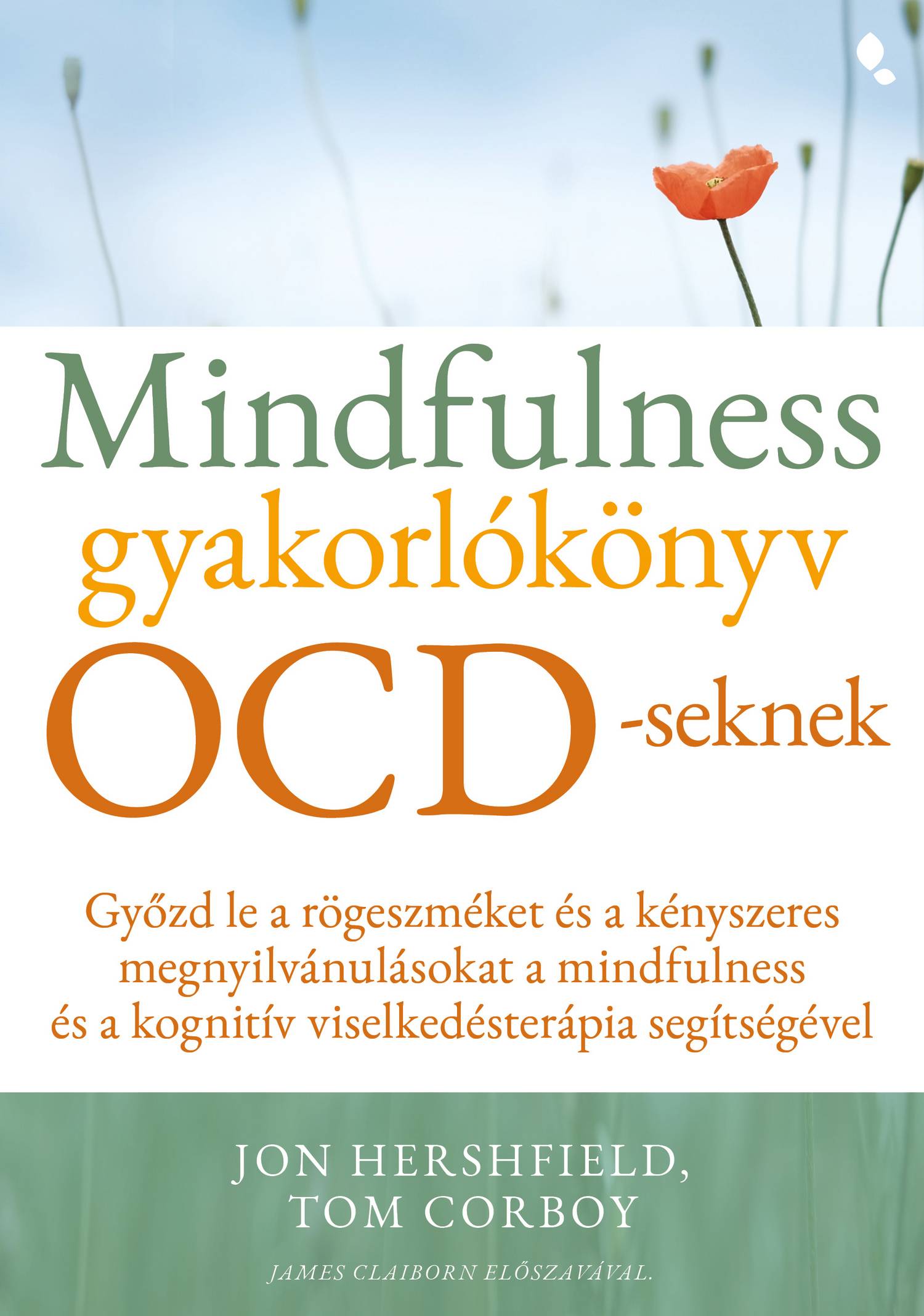 Mindfulness gyakorlókönyv OCD-seknek tükör tesztje 1