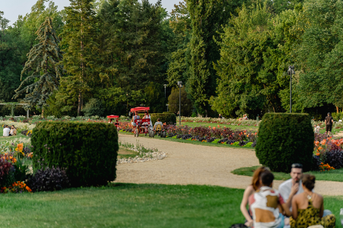 margitsziget-korosi-tamas-45