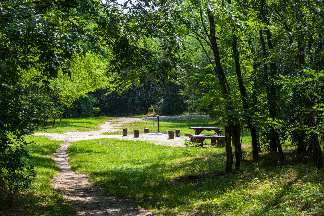 naplas-tavi-kilato-medgyesi-milan-053-20210725