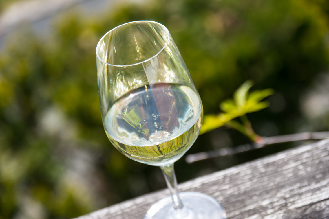 nyari-pince korosi-tamas 20160422