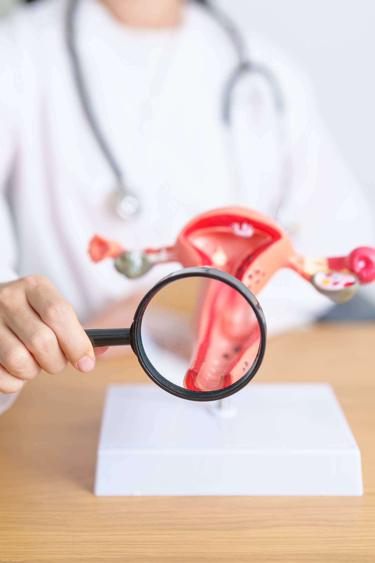 Hüvelygomba vagy bakteriális fertőzés közti különbség 1