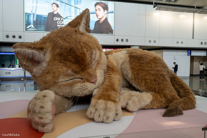 20260404 zia n323 049