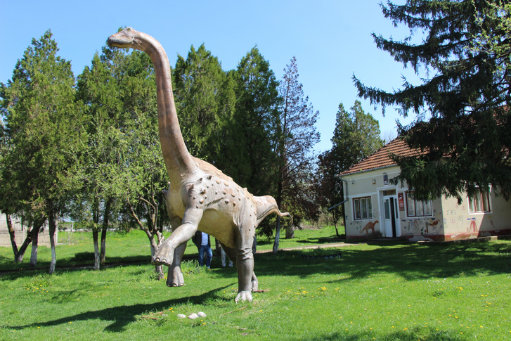 A Magyarosaurus rekonstrukciója