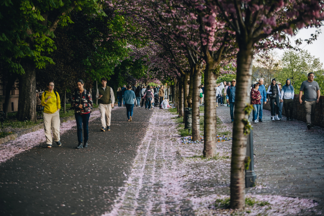 MV 20250418 wlb tavasz 46