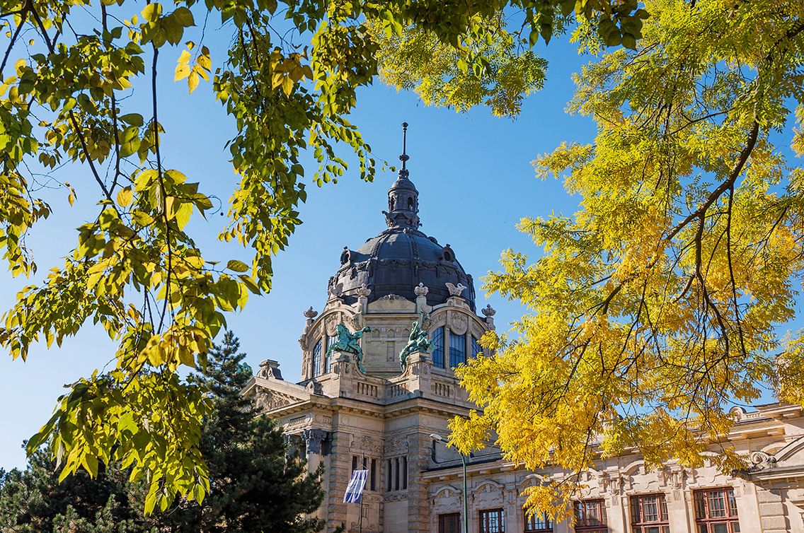szechenyi-furdo bodis-krisztian 20140130