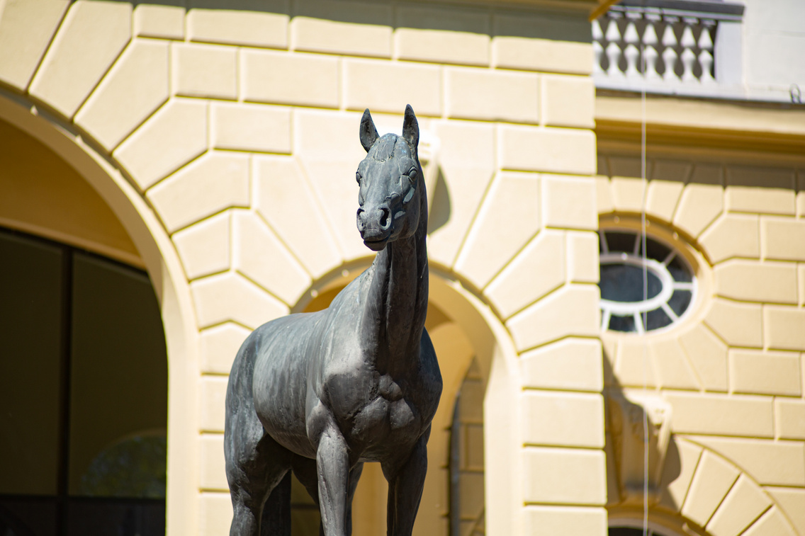 district-x-20210519-gretchen-kessler-66