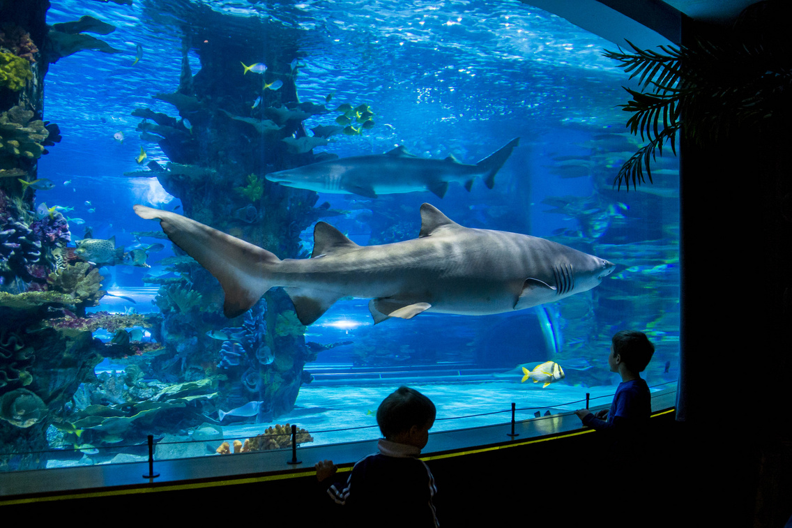 Tropicarium
