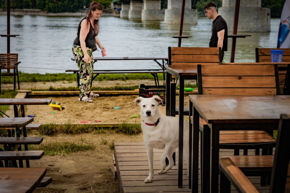 Wasser 20240620 Szabó Gábor 015