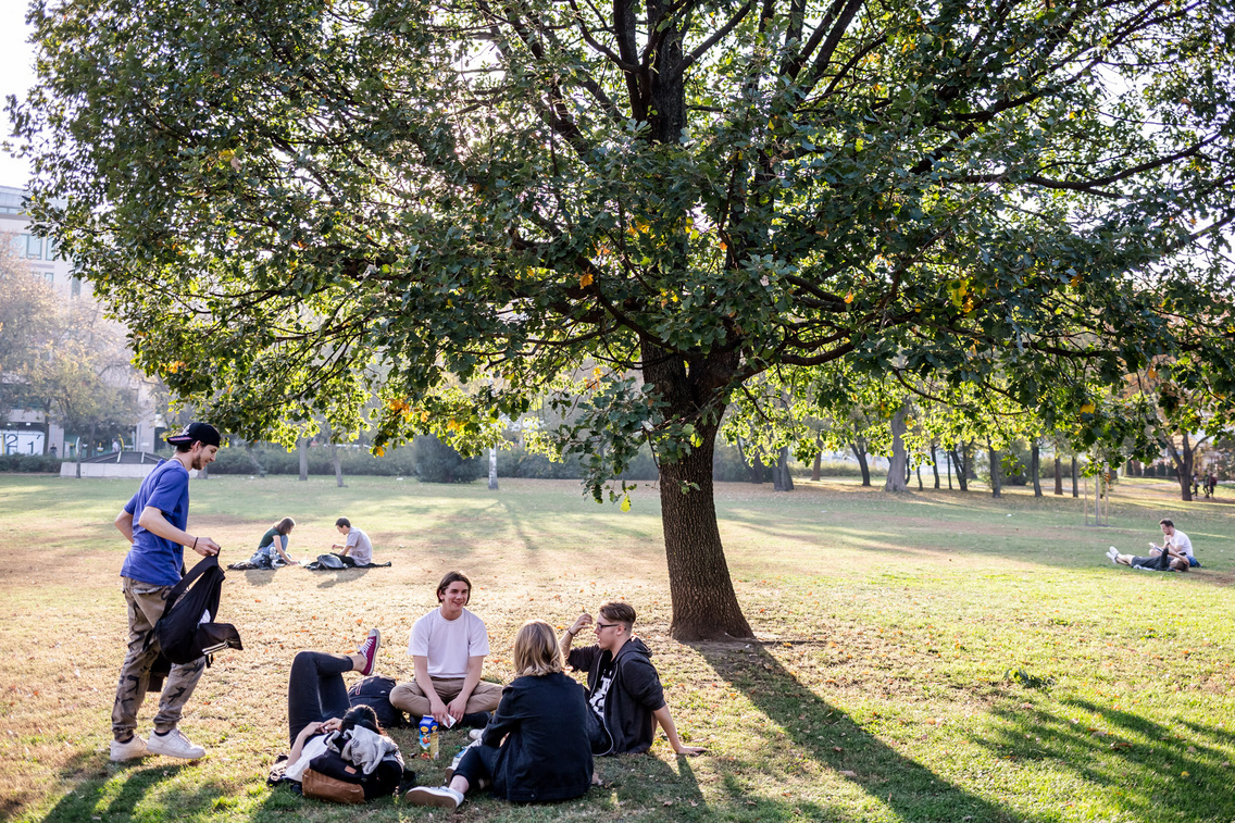 vermezo hartyanyi-norbert 20171017