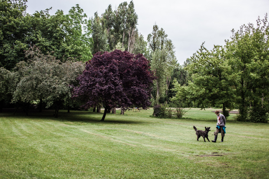 hajogyari-sziget hartyanyi-norbert 20160524 2