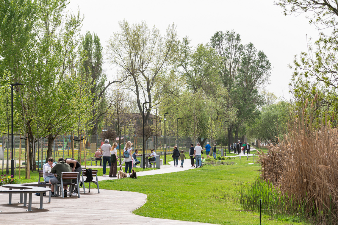 tavasz pesterzsébeti duna sétány 033 Medgyesi Milán 20240401
