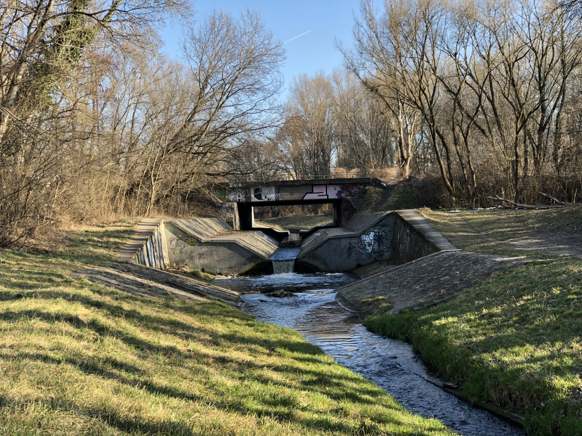 rakos-patak-wlbimage00084