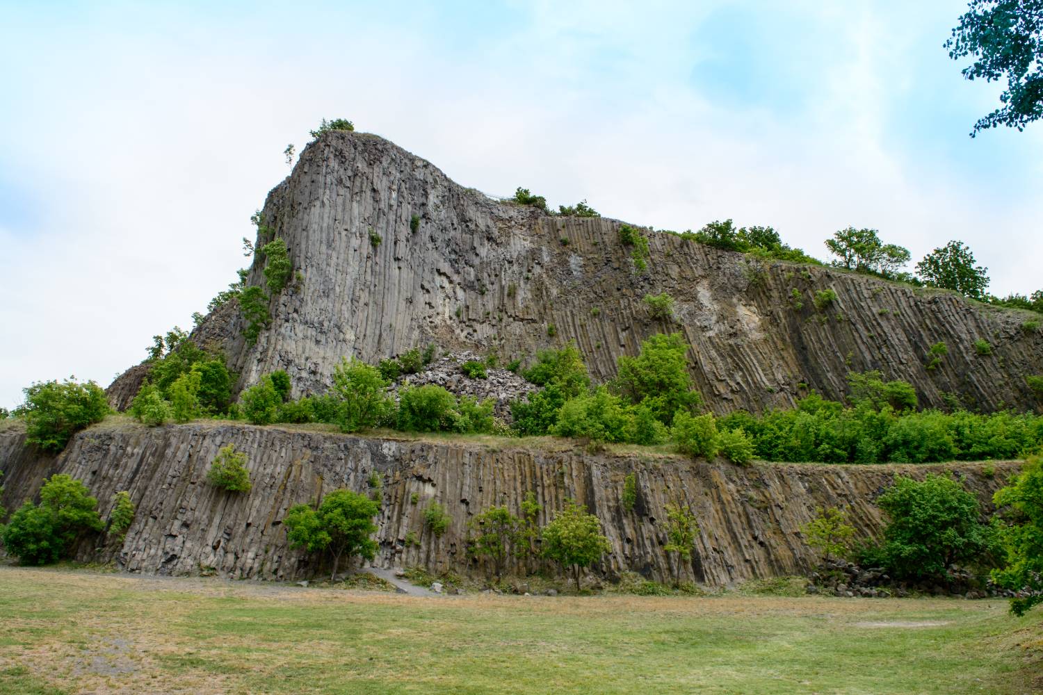 hegyestű balaton (2)
