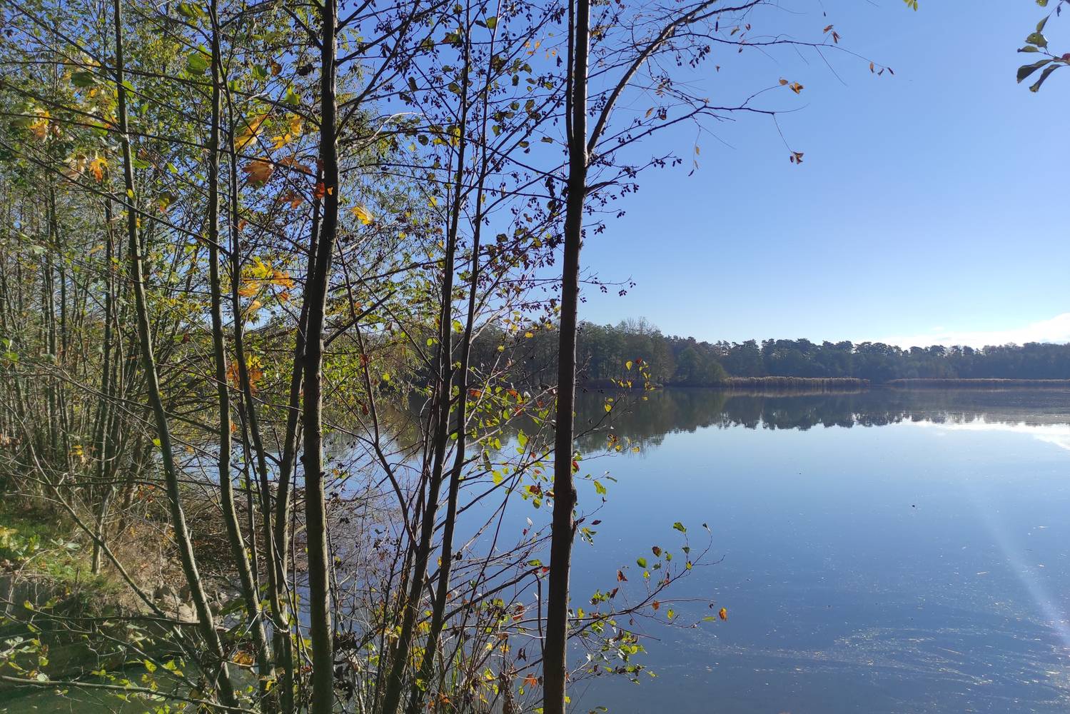 Boronka-melléki Tájvédelmi Körzet