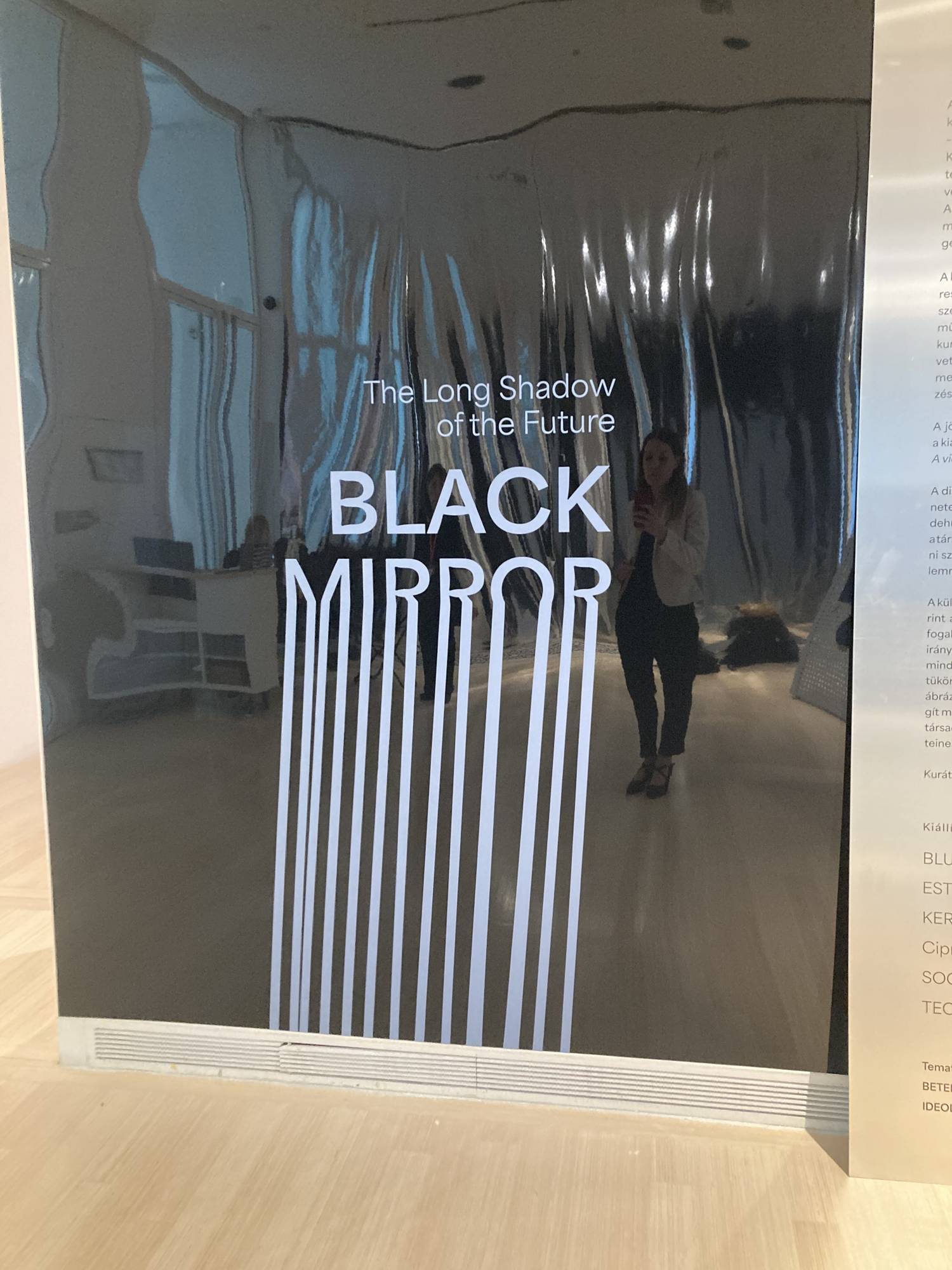 ludwig-black-mirror-fekete-tukor