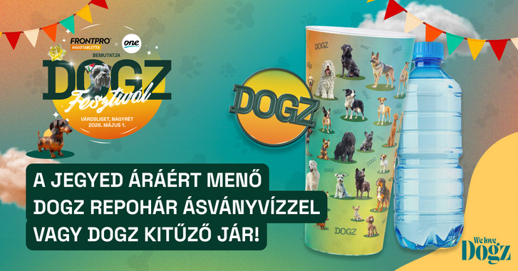 A jegy áráért cserébe hangulatos repohár jár