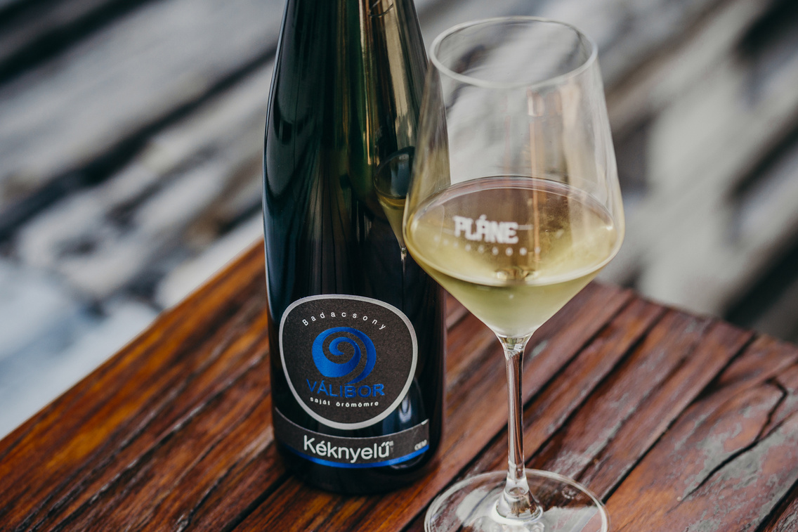 plane-borok-badacsony-20200827-heima-012