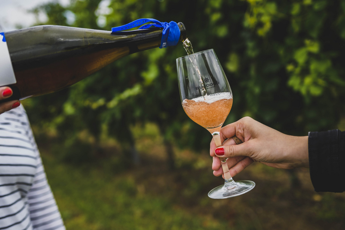 bujdoso-pinceszet-sajto-tu-ra korosi-tamas 20180628