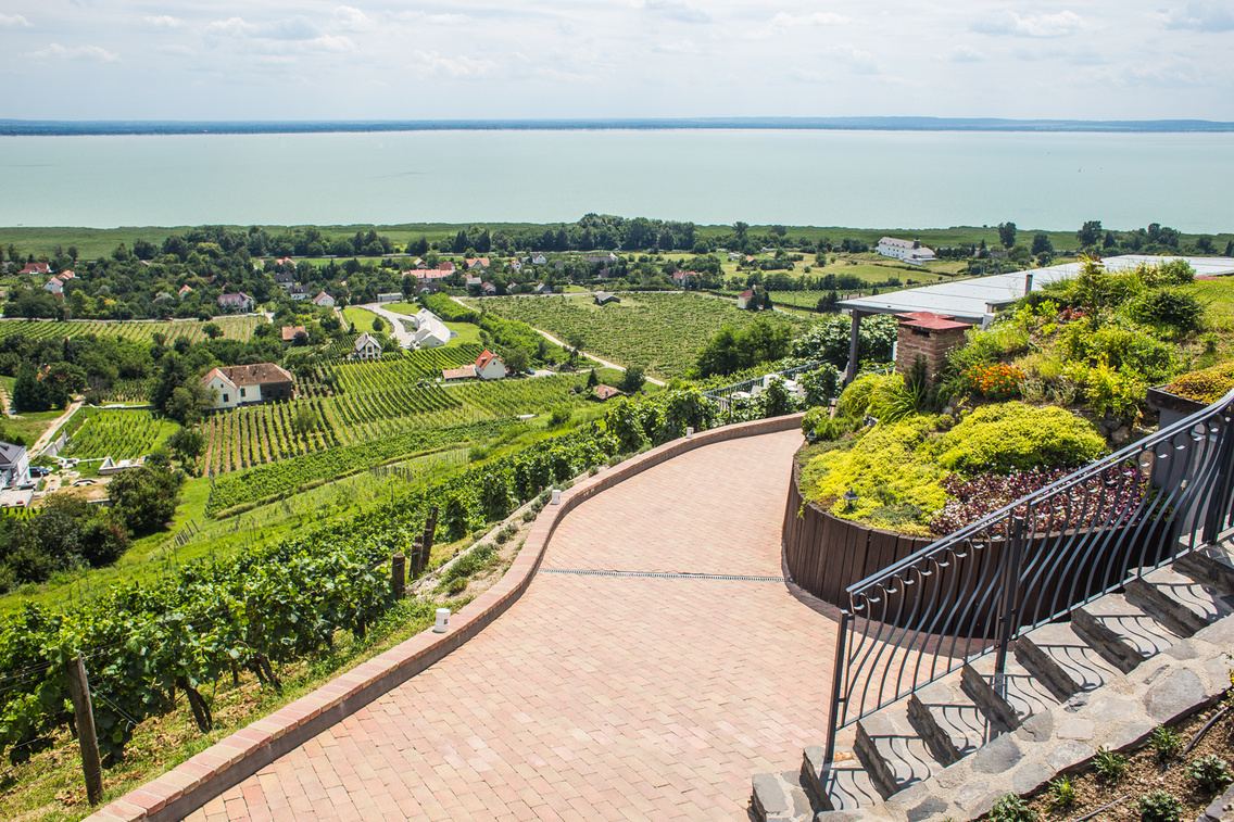 laposa-birtok-borterasz holvenyi-kristof 20180713