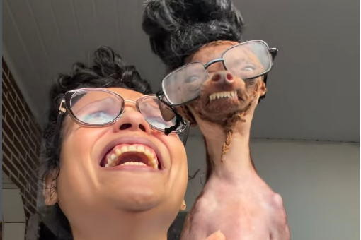 Képernyőkép 2026-04-17 131024.png