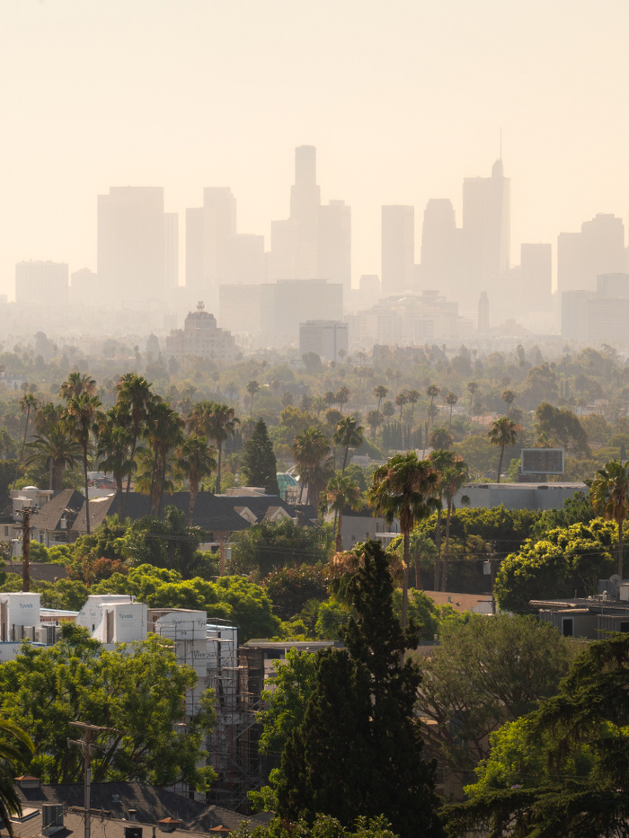 Sokkolót állít egy magát időutazónak valló férfi, ez történhet Los Angelesszel
