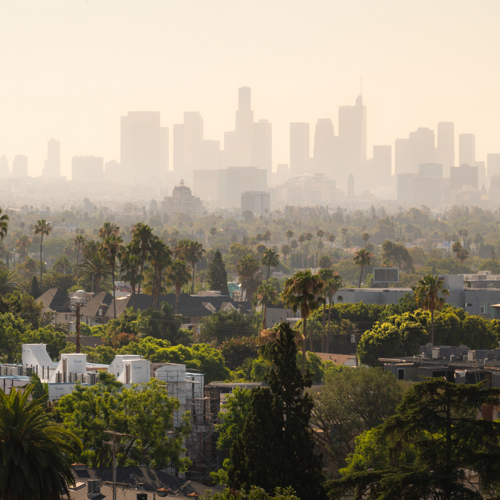 Sokkolót állít egy magát időutazónak valló férfi, ez történhet Los Angelesszel