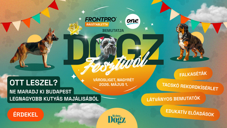 DOGZ Fesztival 2026 bannerszett 2 970x550