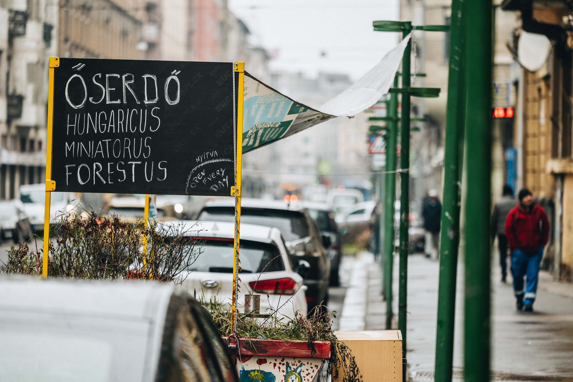 nepszinhaz utca 250116 majorkata-32