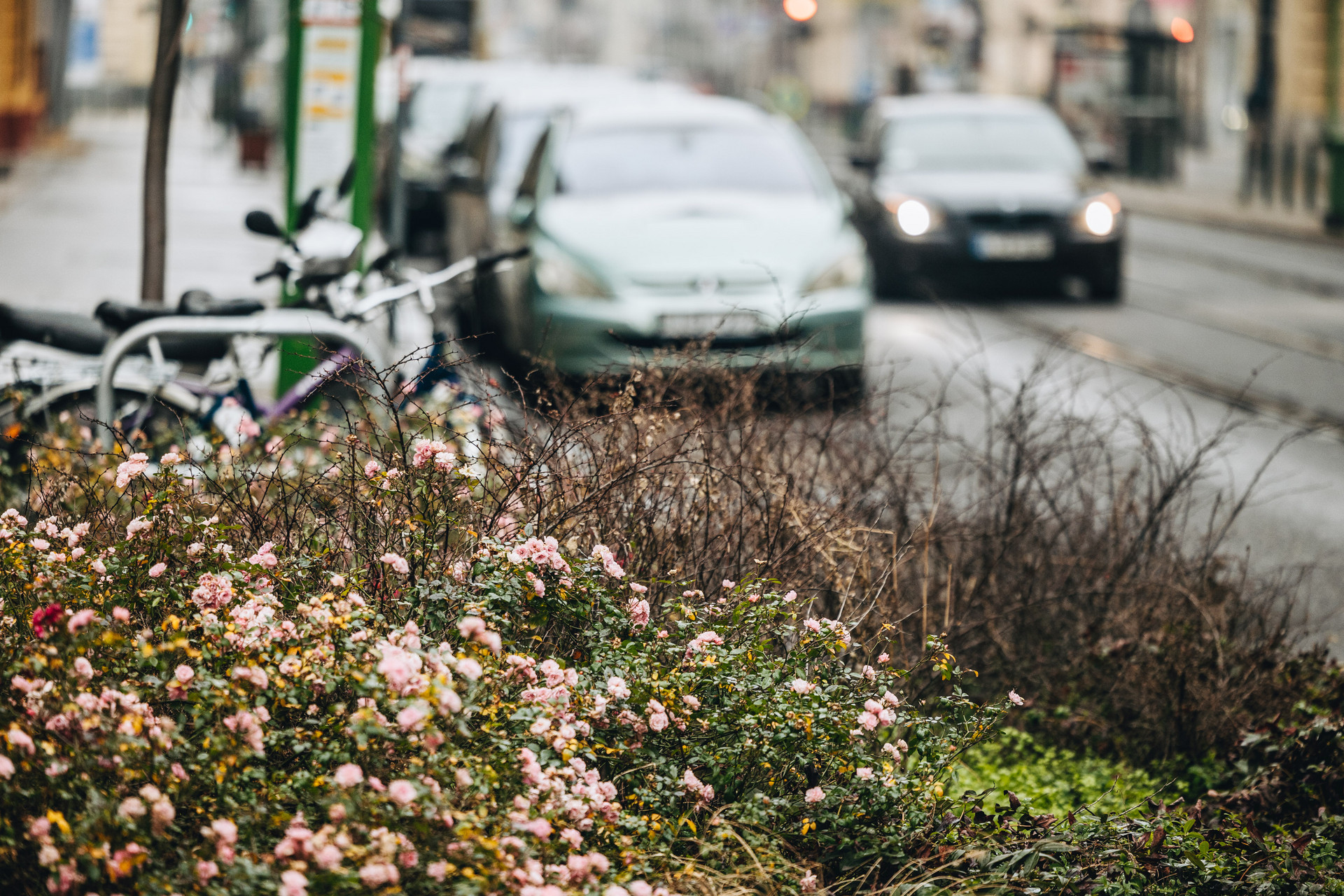 nepszinhaz utca 250116 majorkata-40