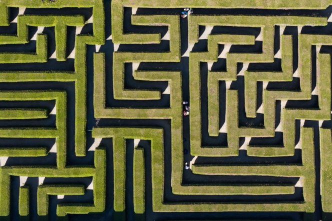 Nem kopnak el az emlékeink, csak benövi a dzsungel