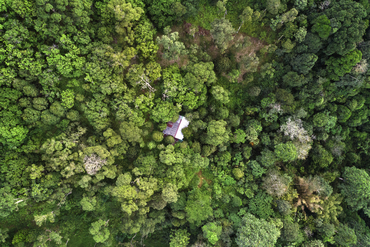 Nem kopnak el az emlékeink, csak benövi a dzsungel