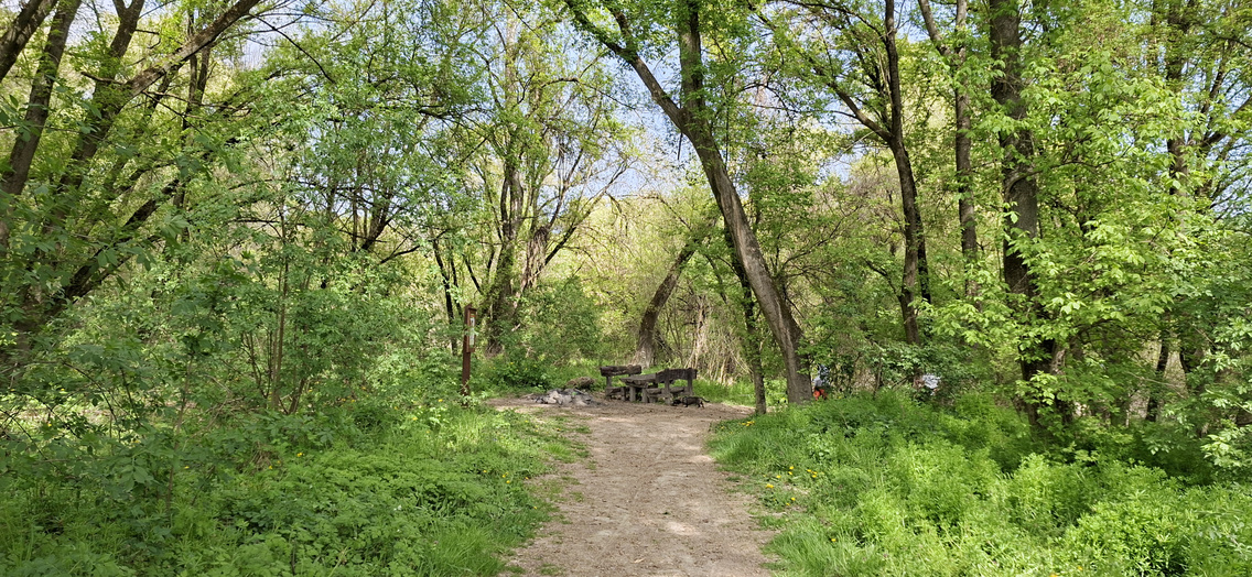 beliczay-sziget (84)