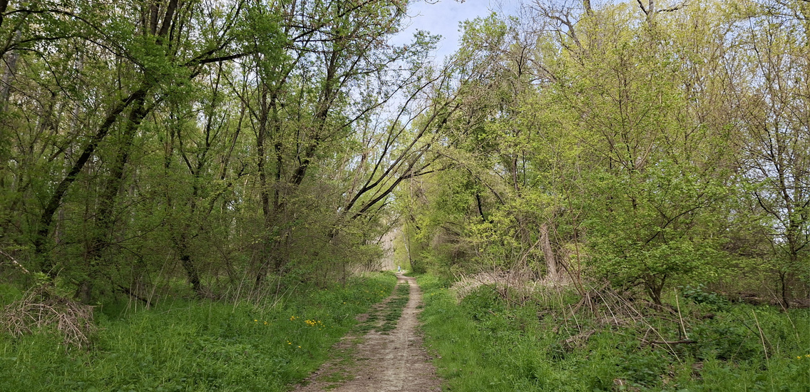 beliczay-sziget (79)