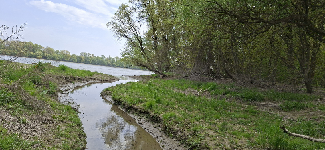 A Sulák-patak torkolata a Beliczay-szigeten