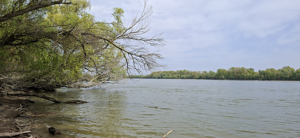 beliczay-sziget (56)