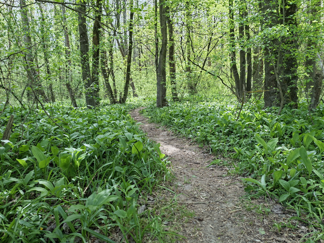 beliczay-sziget (16)