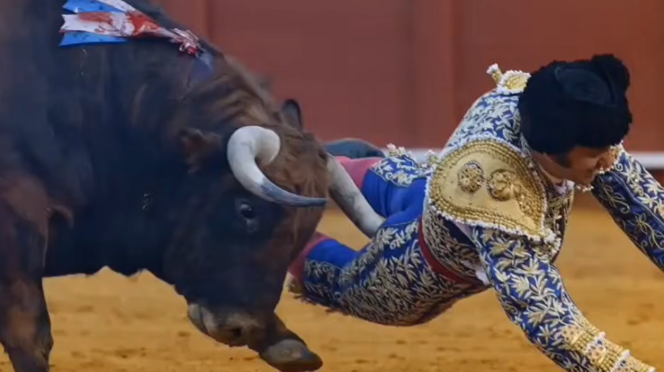 Videón a tragédia, felnyársalta a&nbsp;matadort a bika