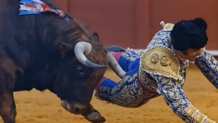 Videón a tragédia, felnyársalta a&nbsp;matadort a bika
