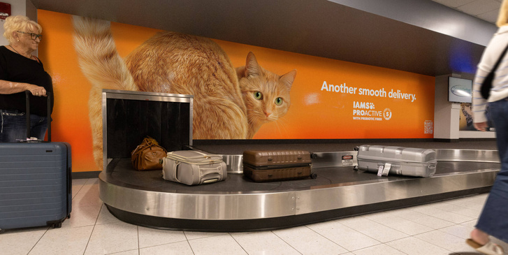 Az IAMS kampányát az adam&eve\TBWA készítette